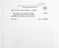 Image of Rasutoria terrieri